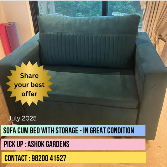 Sofa Cum Bed