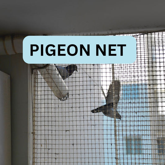 Chirag - Pigeon Net