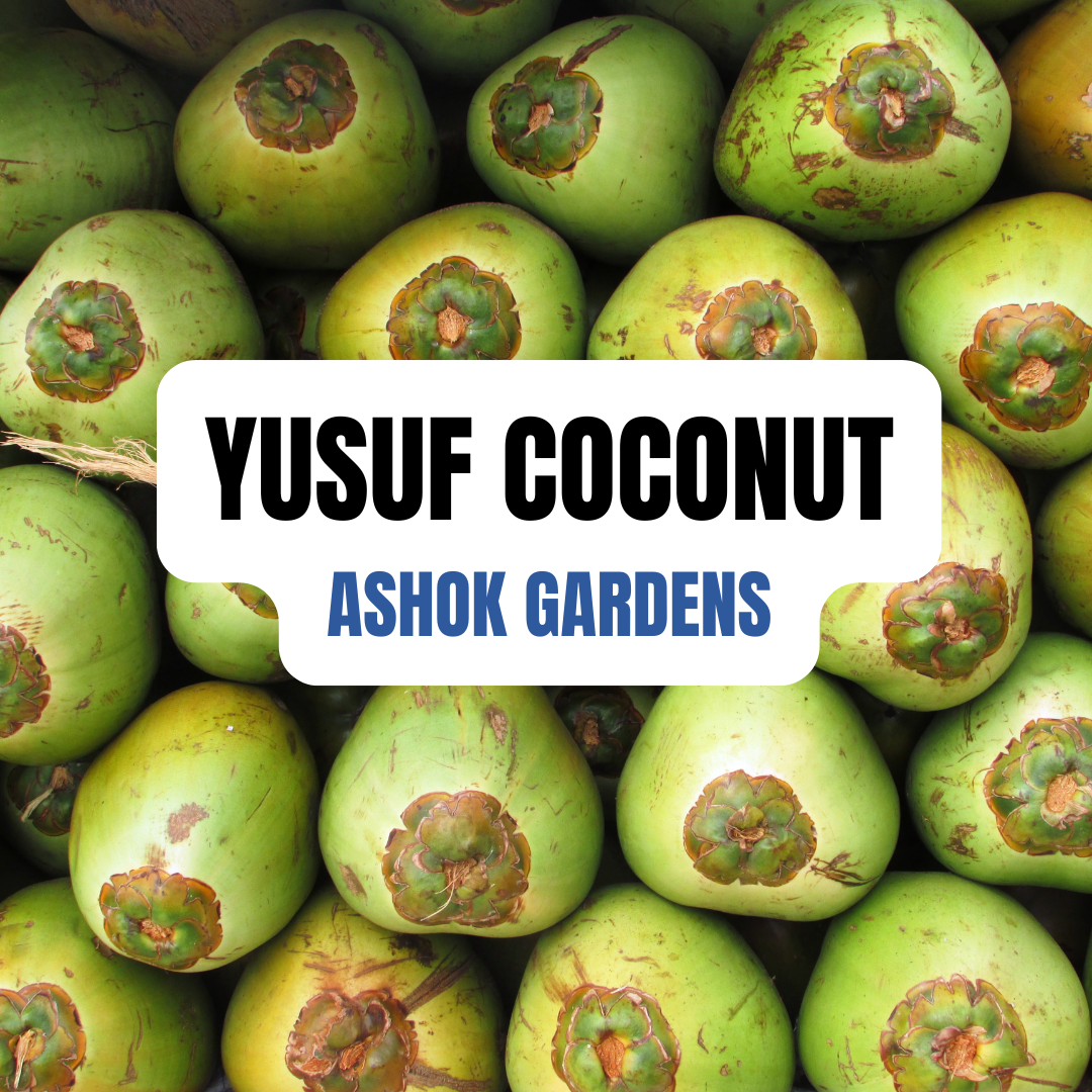 Yusuf - Tender Coconut