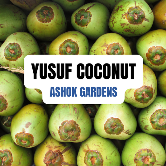 Yusuf - Tender Coconut