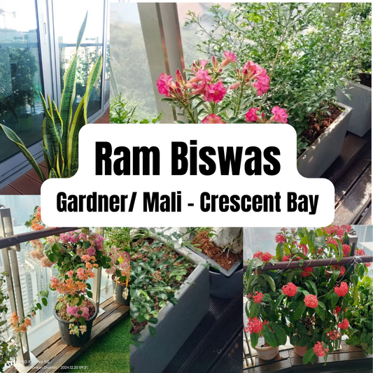 Ram Biswas Mali