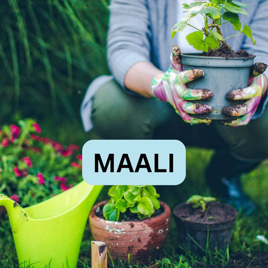 Jay Kishore - Gardener/ Mali