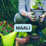 Vijay - Gardener / Mali