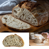 1401 Bakker's Treat - Bakery & finger food