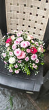 Vishvanath - Florist