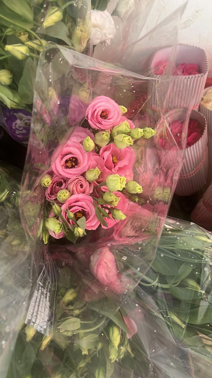 Vishvanath - Florist