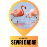 Buzzytown - Cluster 1