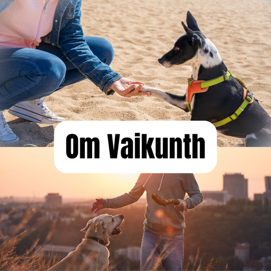 Om Vaikunth - Pet Trainer