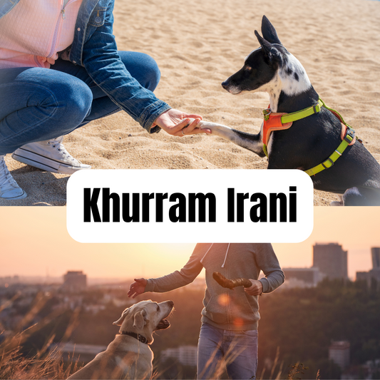 Khurram Irani - Pet Trainer