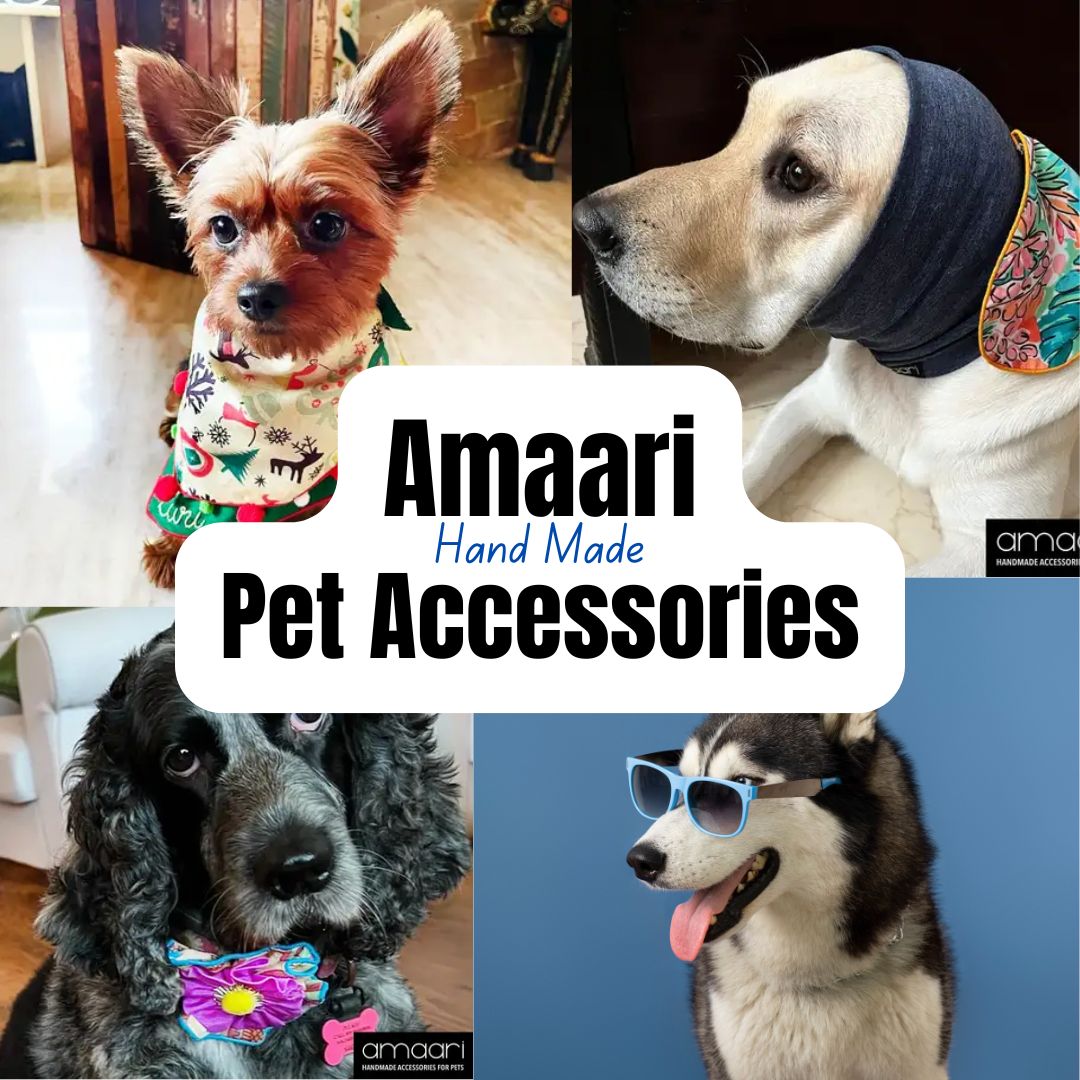 Amaari Petwear  - Accessories for Pets