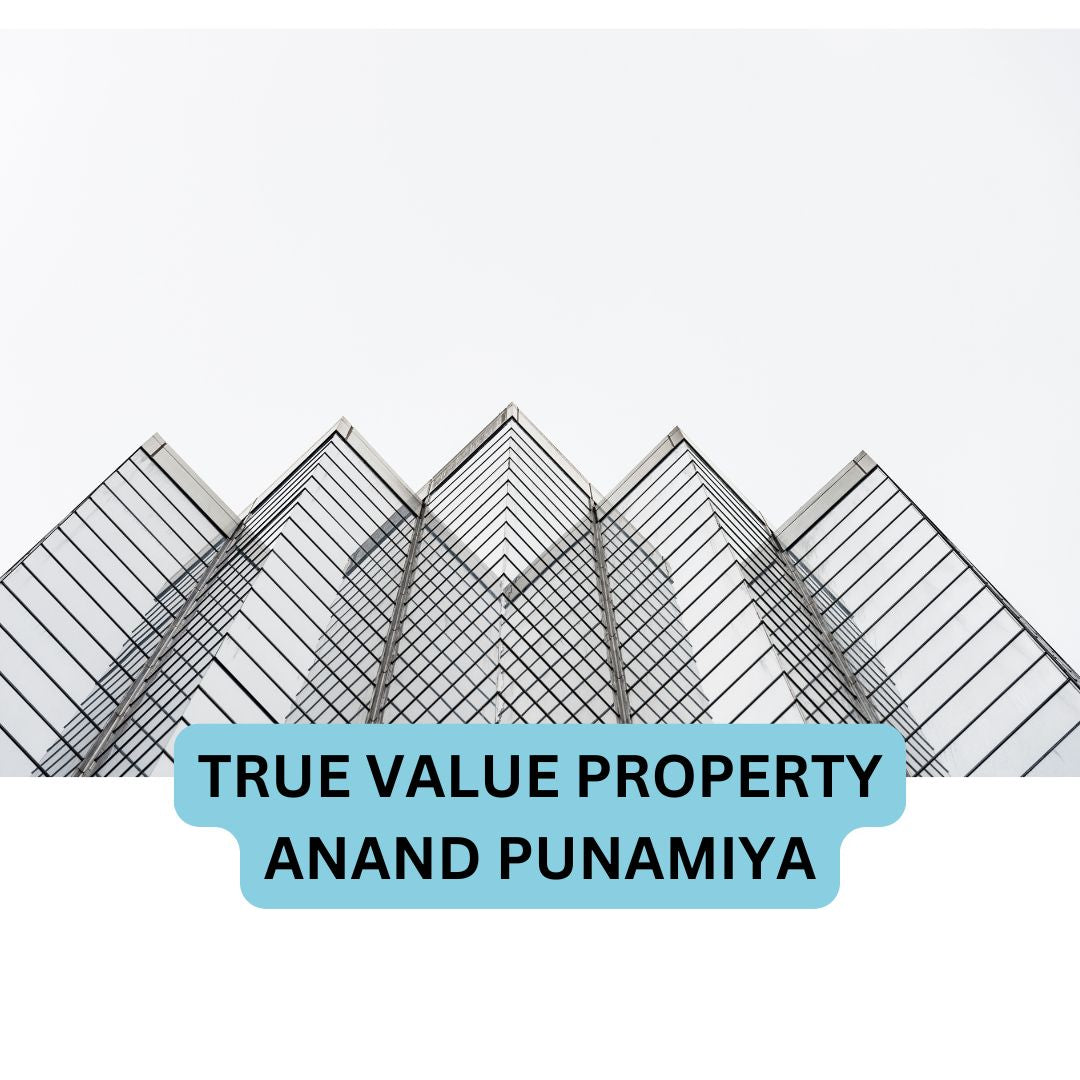 Anand V Punmiya - BROKER