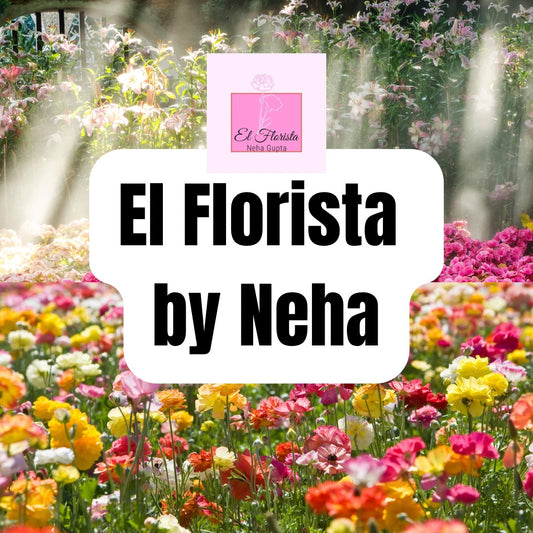 Neha Gupta - Florist