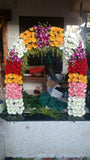 Amol Dumbre - Florist