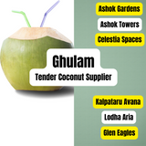 Gulam - Tender Coconut