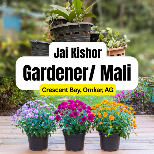 Jay Kishore - Gardener/ Mali