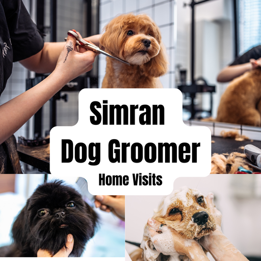 Simran - Pet Grooming