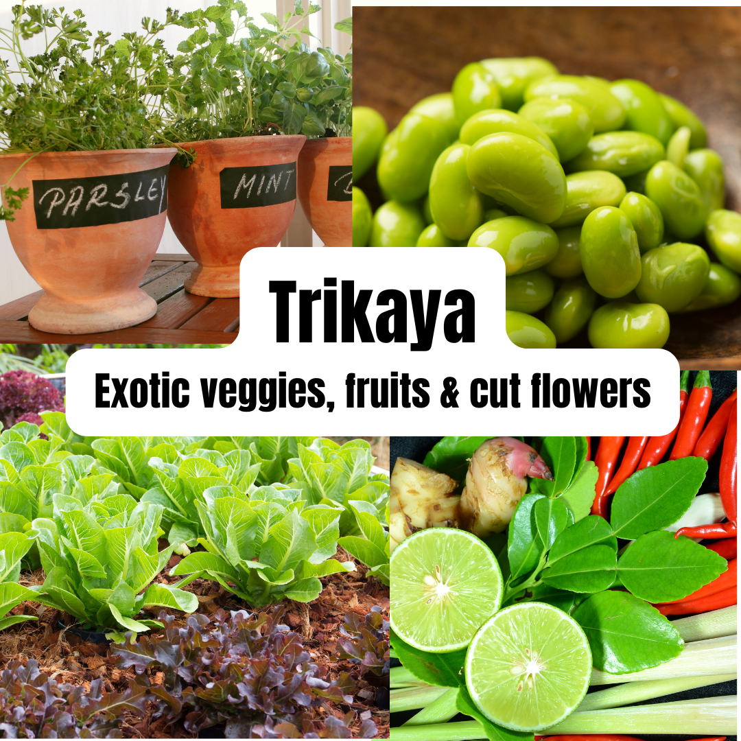 Trikaya Farms - home delivery