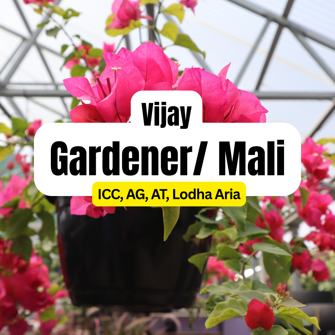 Vijay - Gardener / Mali